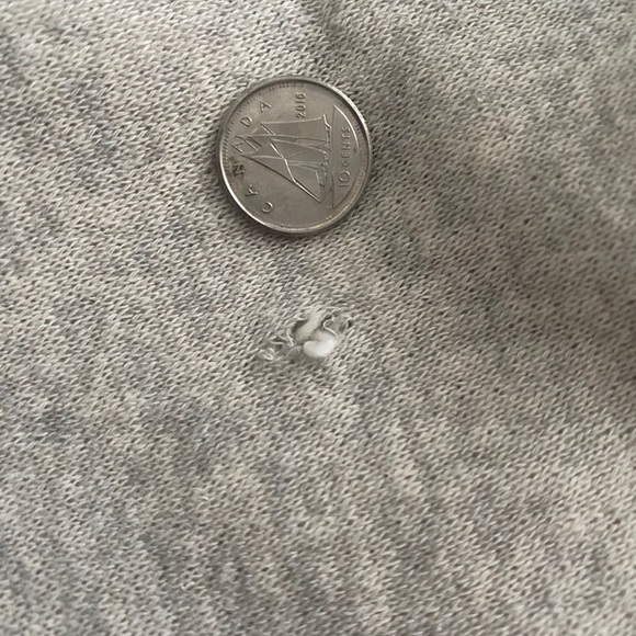 Madewell Daisy Sweatshirt - Picture 6 of 6